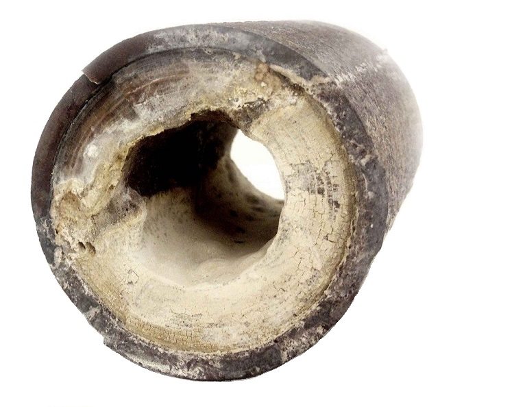 La rouille et d'autres dépôts s'accumulent même dans les tuyaux en plastique Comment nettoyer une conduite d'eau à la maison