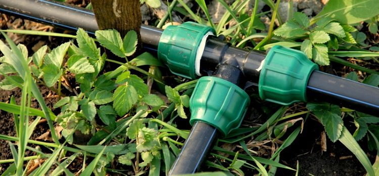 Au chalet d'été, vous pouvez monter l'alimentation en eau à partir de tuyaux en polyéthylène tuyaux pour l'approvisionnement en eau au chalet